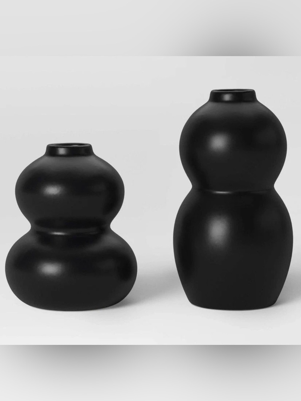 2‑Pack Sculptural Bud Vases Black Matte Ceramic Modern Decorative Set
New in Box